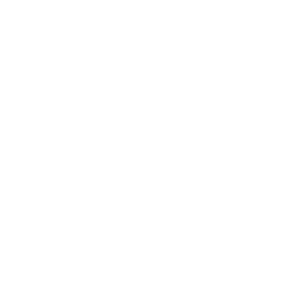 WSJ White As Seen In Logo